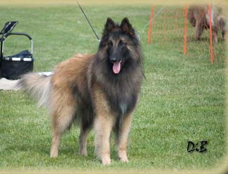 Blackwater`s Blue Ocean